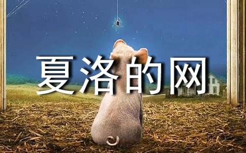 (集合)夏洛的網(wǎng)讀后感7篇
