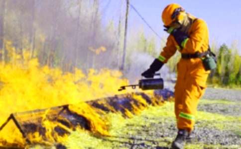 �t(y��)Ժ���������������Y(ji��)