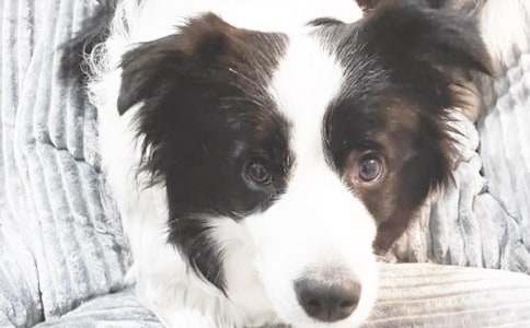 ���P(gu��n)�Ҽ�С������500�օR��ʮƪ