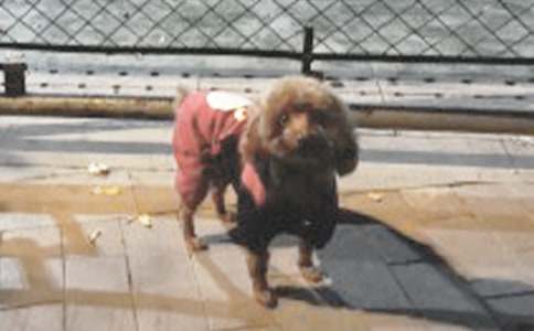 �ɐ۵�С��Ԓ�}����(�R��9ƪ)