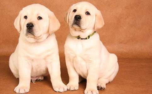 С��С�W(xu��)���ġ�ͨ��5ƪ��