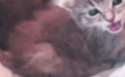 ����Ʒ��С؈С�W(xu��)����300�օR��8ƪ