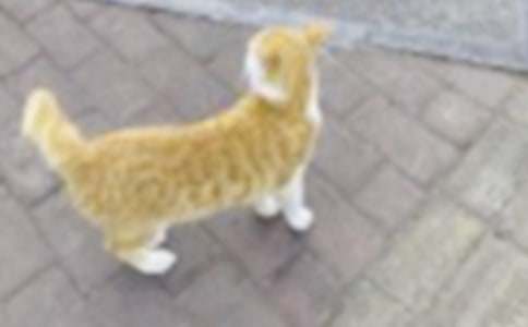 �ҵ�С؈Ԓ�}����6ƪ