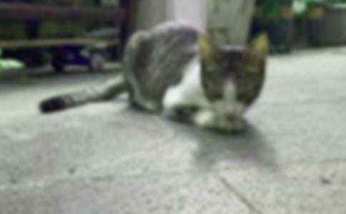 �P(gu��n)��С؈����500�ֺϼ���ƪ