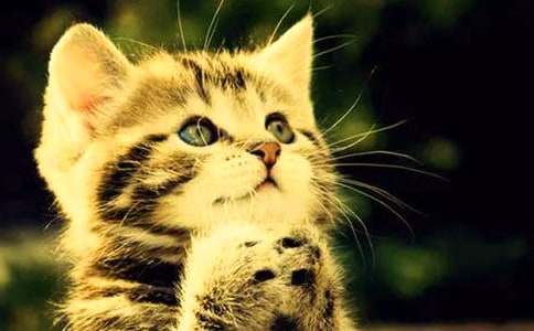 ���õ�С؈С�W����400�ּ��\9ƪ