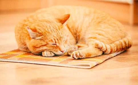 С�WС؈����