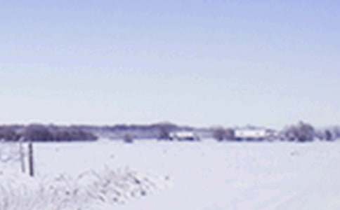 Сѩ��΢�ņ����Z