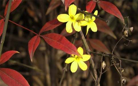 ӭ�����_������