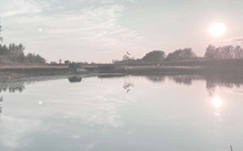 �P(gu��n)���~���а���ͬ