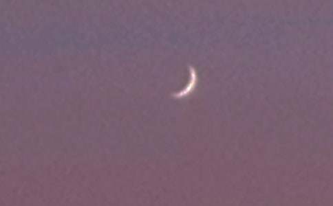 月亮的家作文300字四篇