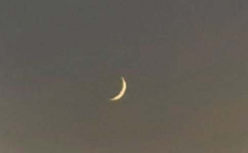 �����T��������������ąR����ƪ