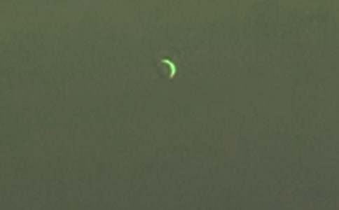 �����A����������300��3ƪ