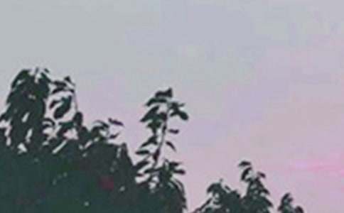 2023�ꌍ(sh��)�õ����õ��簲΢��ף���Z(y��)���\70��