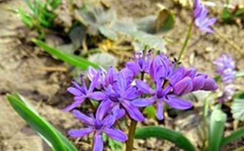 ���õ����õ��簲����Ȧף���Z38�l