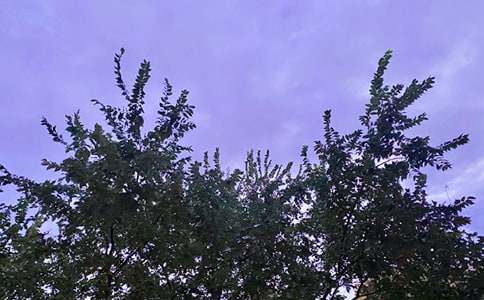 �����]�����õ��簲΢��ף���Zժ�50��