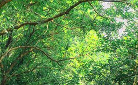 �����]�����õ��簲΢��ף���Z�R��55��