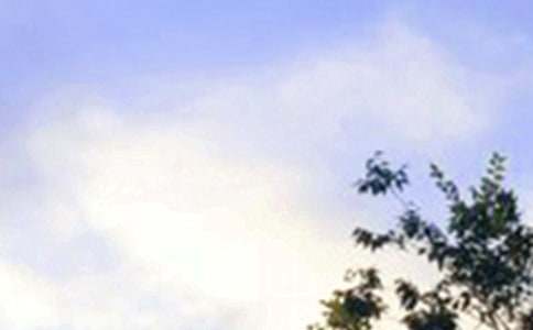 �������õ��簲΢��ף���Z�\��41��