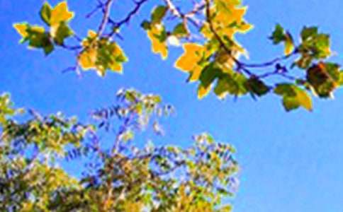 �簲�������15ƪ�����A��