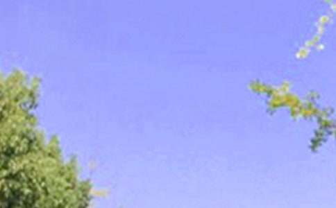 ��������ϵ�簲��(w��n)���Z(y��)�Z(y��)�26��