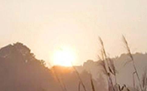 ��������簲��(w��n)���Z(y��)