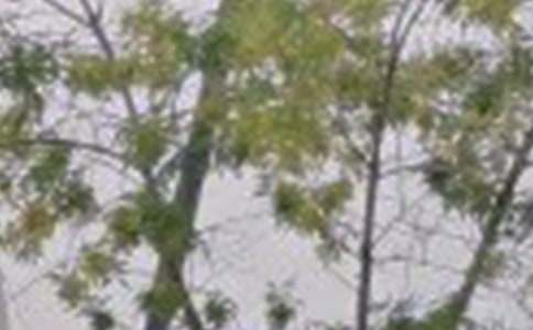 (優(yōu)選)早安老公問候語