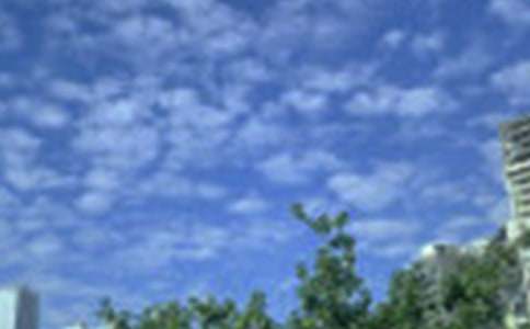 2023�꺆�̵����õ��簲ף���Z�Z䛅R��33��