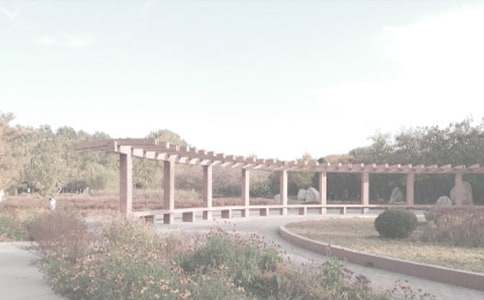 ССֲ��@����