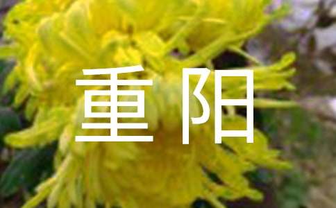 重陽(yáng)敬老節(jié)橫幅的標(biāo)語(yǔ)