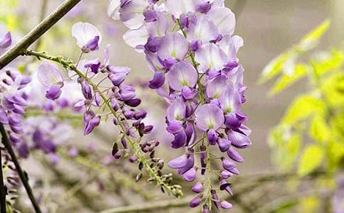 ���ٻ��_����