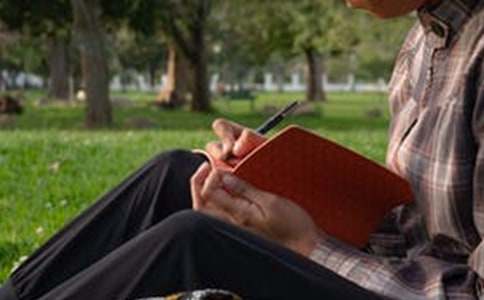 【精品】樹的作文300字4篇