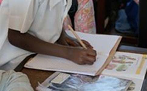 【精華】火把節(jié)作文3篇