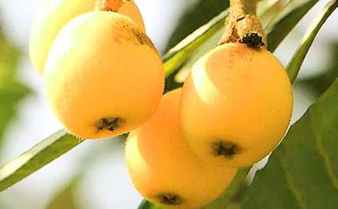 ���˘�ֲ������