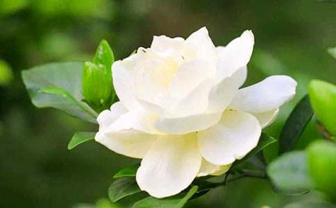 �d�ӻ��_����(15ƪ)