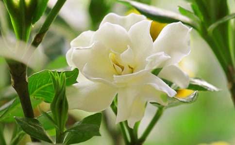 �d�ӻ��_�r����