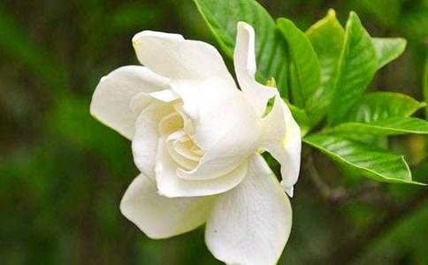 �d�ӻ��_���ģ�ͨ��46ƪ��