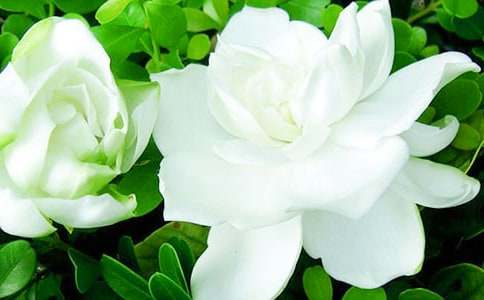 �d�ӻ��_����15ƪ�����A��