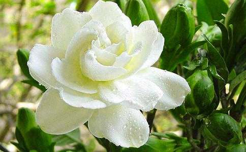 �d�ӻ��_(k��i)���ġ���(j��ng)�䡿