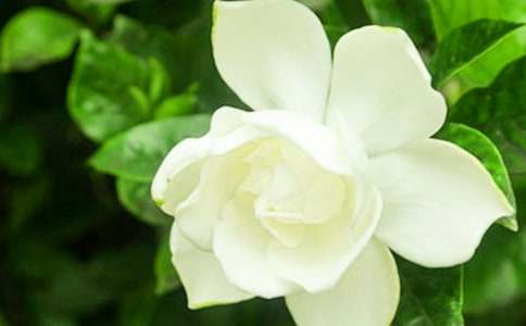 �d�ӻ��_���ģ����A15ƪ��