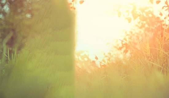 三月三唯美句子(精選100句)