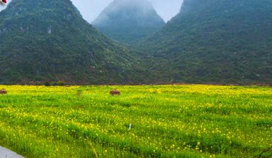 ȥ���ﴺ�ν��h��